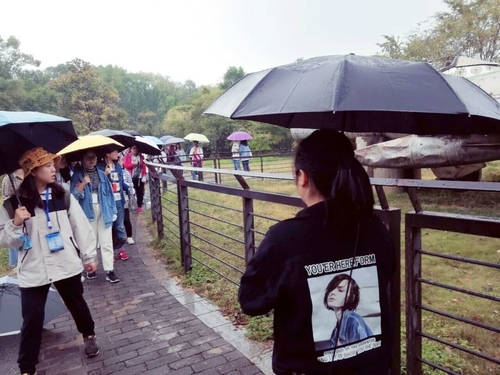 mmexport1540535344177